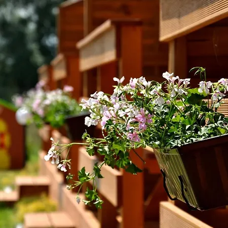 Holiday home Sloneczny Przystanek *